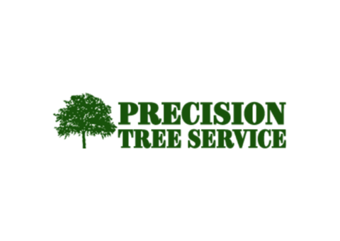 Precision Tree Service | Tree removal