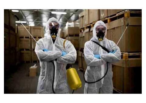 Top Pest Control in Jaipur - USSPestCon Services Pvt Ltd