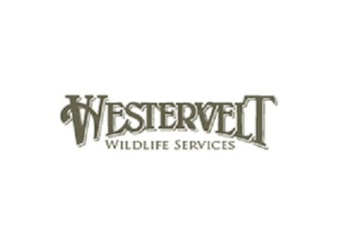 Alabama Deer Hunting & Land Leases – Westervelt Wildlife