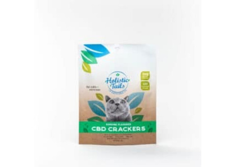 CBD for Dog Separation Anxiety