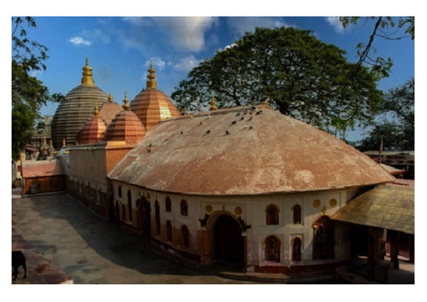 Hire Pandit for Kamakhya Devi Mandir Darshan Puja - Vedaangam