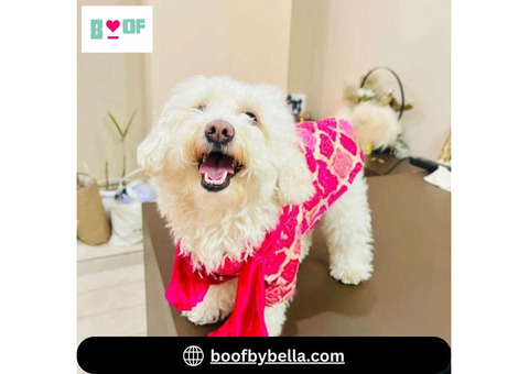 Find Festive Dog Kurta and Lehenga for Diwali at Boof by Bella