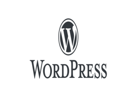 Hire WordPress Developer : Build Robust Web Solutions