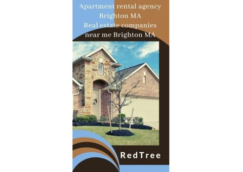 Get The most recommended apartment rental agency Brighton MA