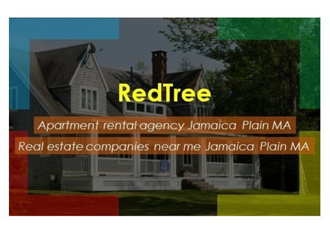 Explore a Modern Duplex Apartment Rental Agency Jamaica Plain MA