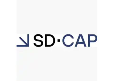 Expert Construction and Project Management by SD Cap