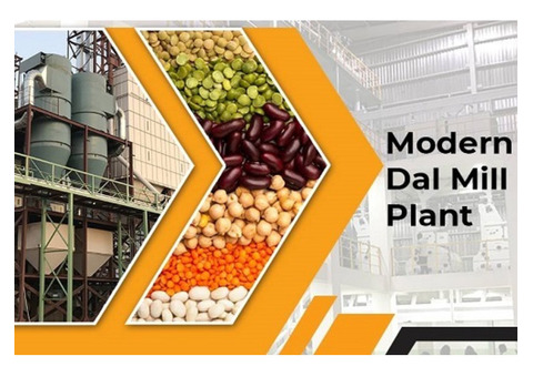 How to Establish a Dal Mill Plant to Expand Your Grocery Business?