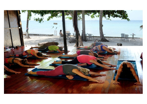 Yoga in Koh Phangan: A Perfect Island Retreat for Wellness