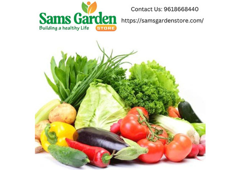 Best Combo Vegetable Seeds Online - Samsgarden Store