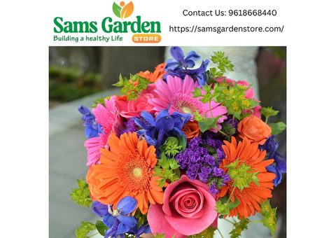 Best Combo Flower Seeds - Samsgarden Store