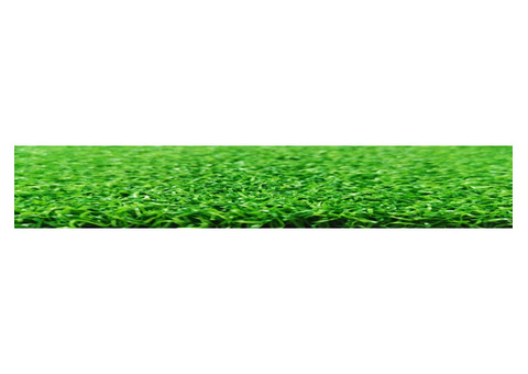 Affordable and High-Quality Artificial Turf in Brisbane