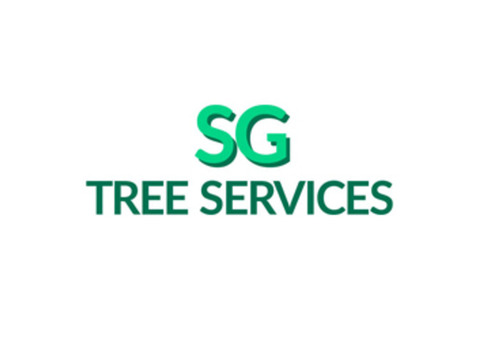 Aberdeen Tree Surgeon & Expert Aberdeenshire Tree Specialists