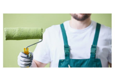 Top-Rated House Painters Near Me – Mister Paint