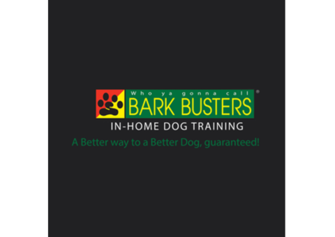 Bark Busters In Home Dog Training