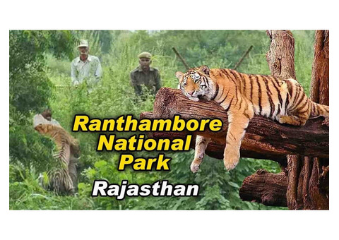 Ranthambhore Tour Packages Upto 30% Off - Book Now! - Trypdeals