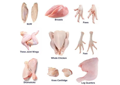 Wholesale Frozen Chicken, Bovine Beef Wholesale