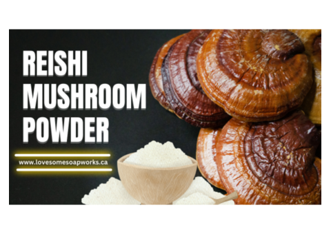 High-Quality Reishi Mushroom Powder