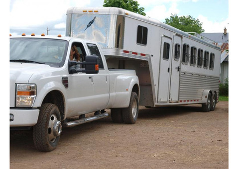 Reliable Nationwide Horse Transportation in California