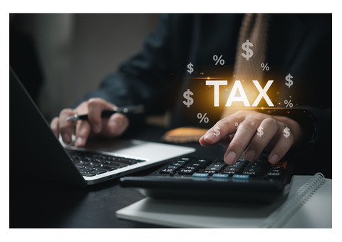 Professional Tax Consultants in Miami, Florida