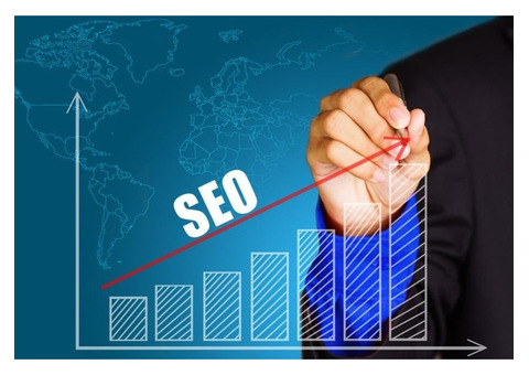 Want Better SEO Results? Hire the Best SEO Company in India!