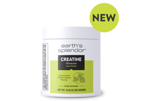 Creatine Supplement for increase Performance and Recovery