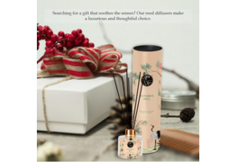 Buy the Scented Autumn's Soul 50ml Reed Diffuser| Soul & Scents