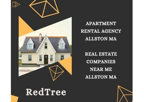 Choose a 1 Bed room Hiring an Apartment Rental Agency Allston MA