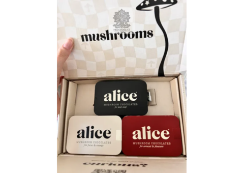 buy-alice-mushroom-chocolates