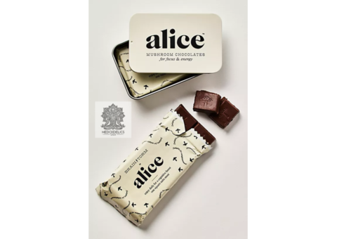 buy-alice-mushroom-chocolates