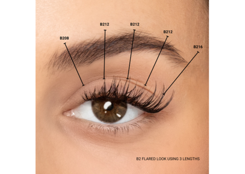 Browse the Latest Collection of Lash Extension Starter Kit Online