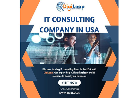 IT Consulting Companies in USA | Digileap