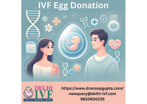 IVF Egg Donation