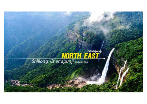 Wonderful Kaziranga Shillong Cherrapunji Package Tour from Guwahati