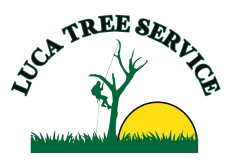 Luca Tree Service