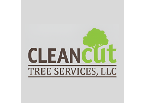 Clean Cut Tree Services | Tree Cabling