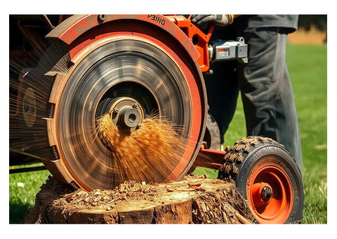 Professional Stump Grinding & Tree Stump Removal in Sydney 