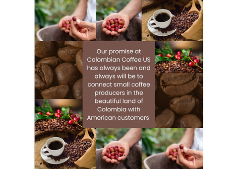 Premium Roasted Coffee Beans | Colombian Coffee