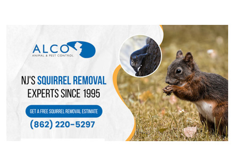 Squirrels Removal in NJ