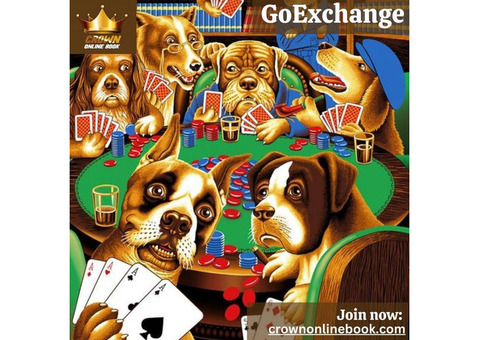 Get Started with GoExchange – India’s Top Platform for Big Wins