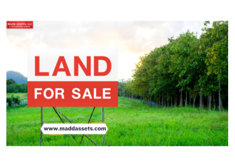 Sunshine State Land for Sale in Florida