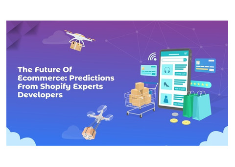 The Future of E-commerce: Predictions from Shopify Experts Developers