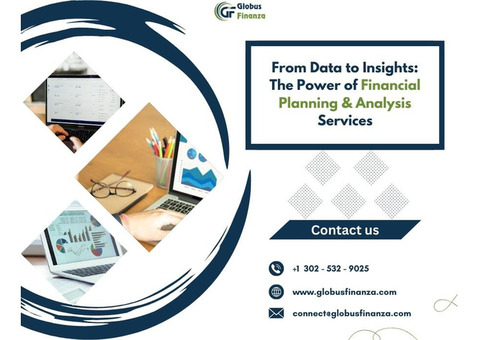 Financial Planning & Analysis Services