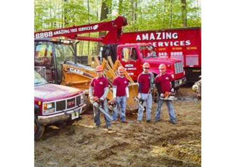 Commercial Tree Service in NJ