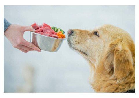 Nutrients Included in Fresh Food for Dogs