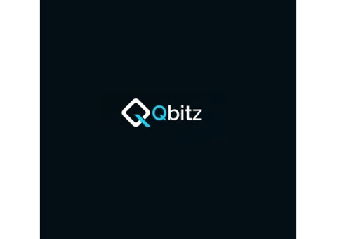 Qbitz LLC