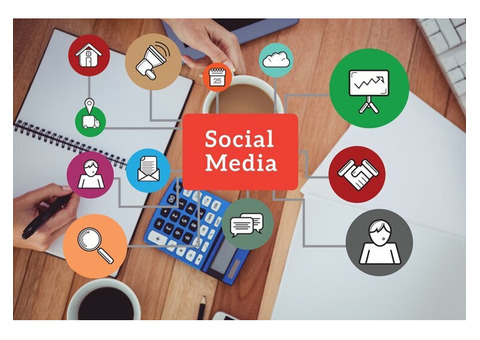 Drive Engagement with Our Social Media Management Services