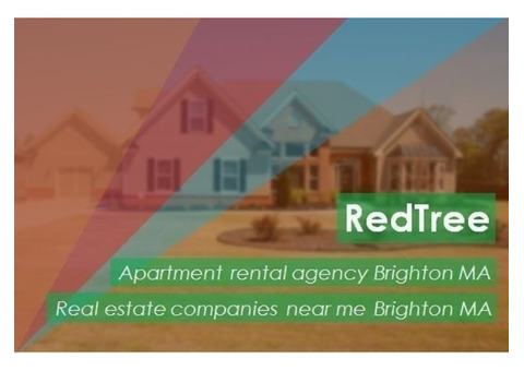 Choose a Stunning Apartment Rental Agency Brighton MA