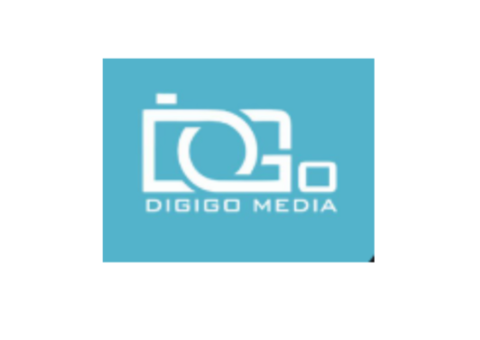 seo services in indore -  Digigo Media