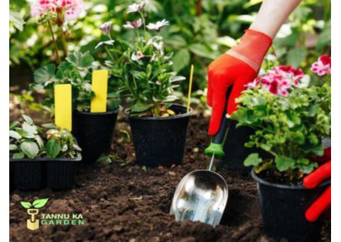 Home Gardening Tips for Beginners – Grow a Beautiful Garden with Ease!