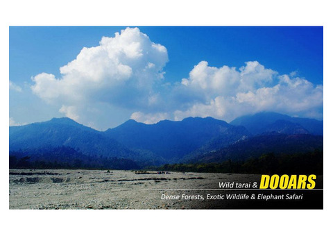 Booking Your Dream Vacation with the Dooars Tour Package